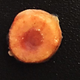 Lab-engineered bone (the outer layer) with functional bone marrow (the inner layer). Image: Varghese Lab at UC San Diego